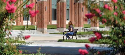 Bench on Campus